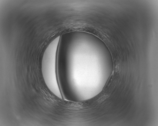 X0000080151156200612081045