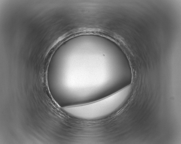 X0000080151165200612081045