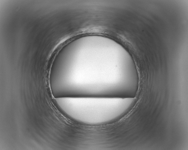 X0000080151166200612081045