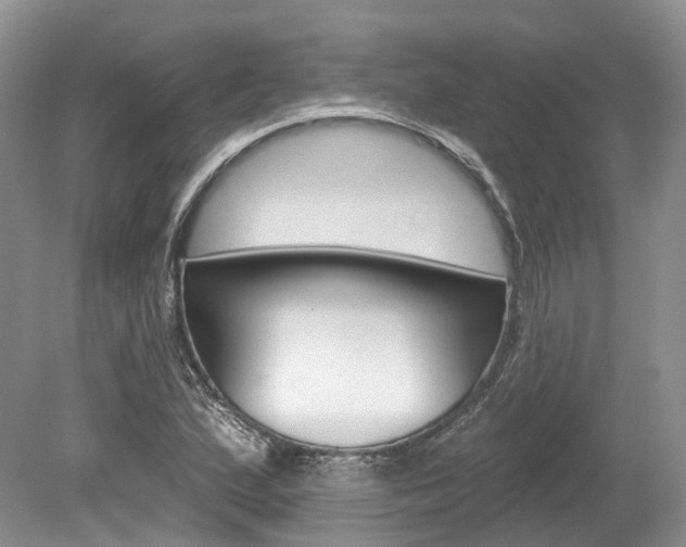 X0000080151167200612081045