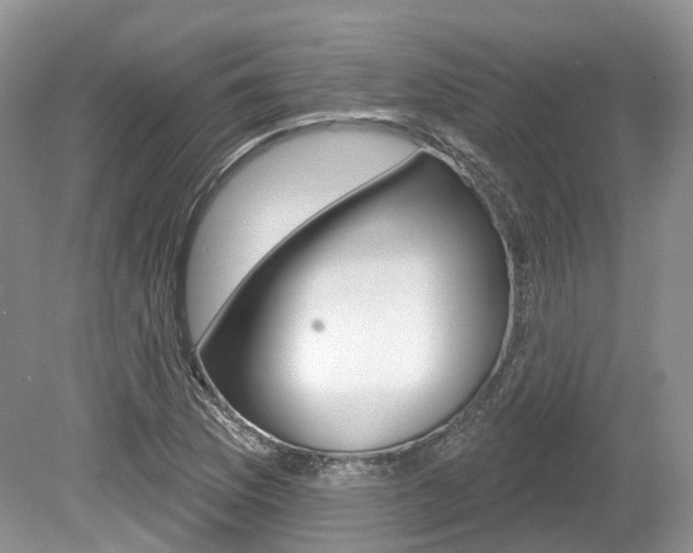 X0000080151169200612081045