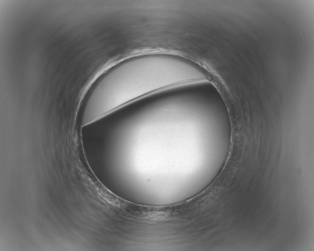 X0000080151173200612081044