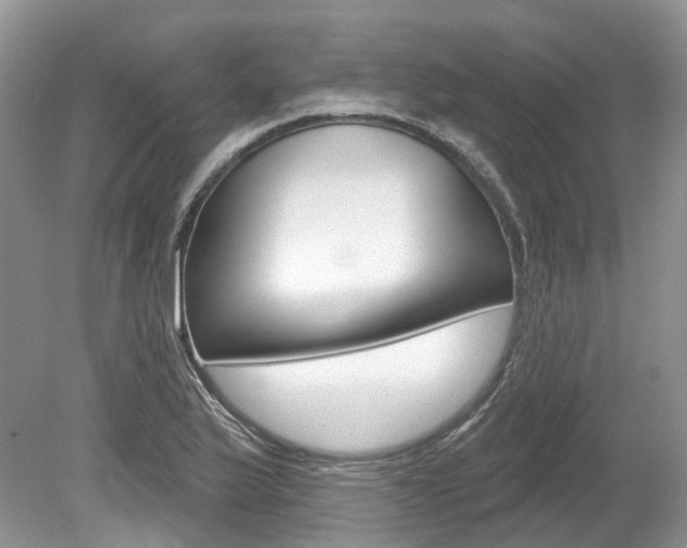 X0000080151175200612081044