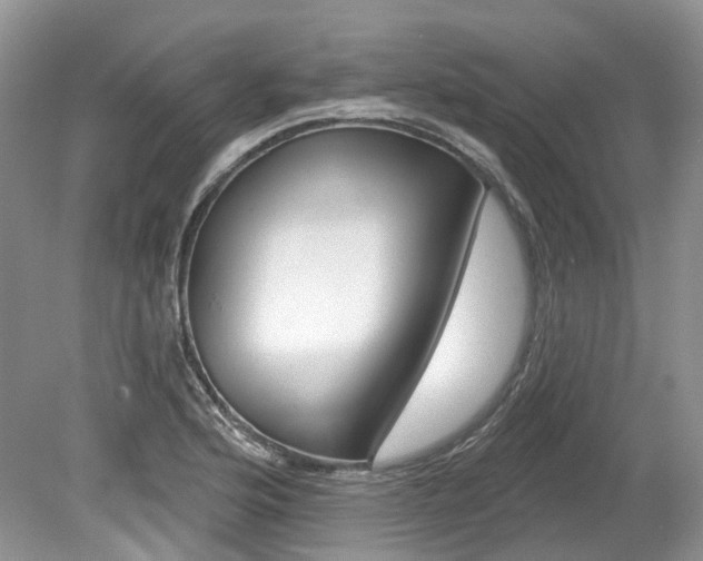 X0000080151176200612081044