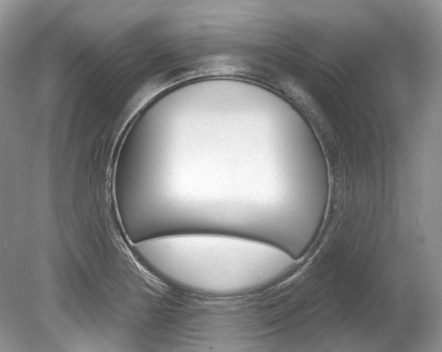 X0000080151178200612081044