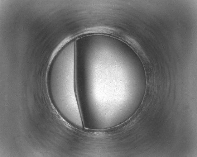X0000080151180200612081044