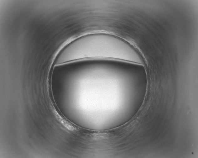 X0000080151181200612081044