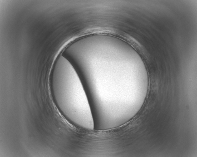 X0000080151182200612081044