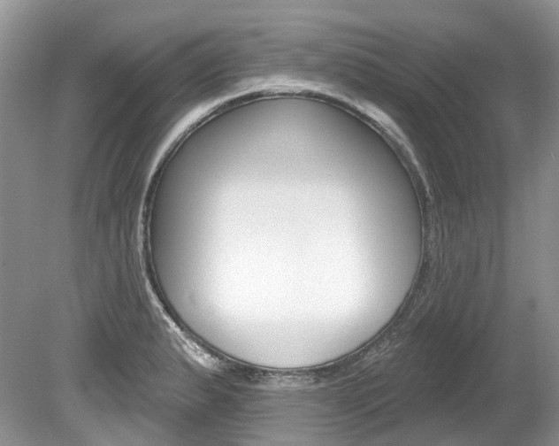 X0000080151183200612081044