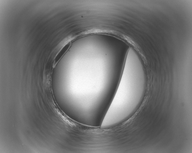 X0000080151185200612081044