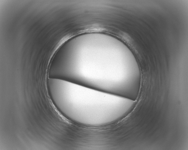 X0000080151186200612081044