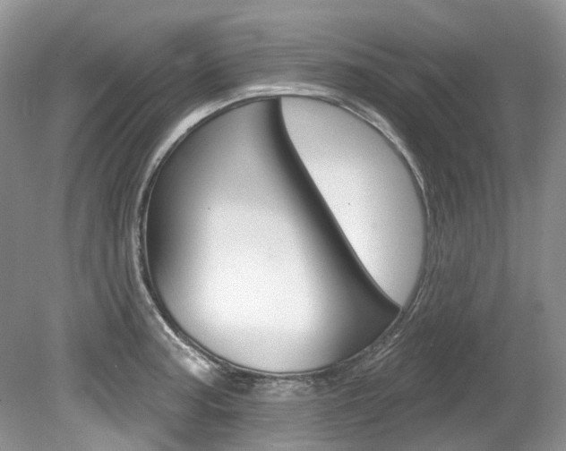 X0000080151187200612081044