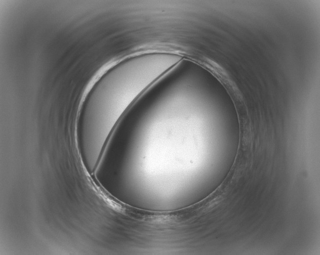 X0000080151188200612081044