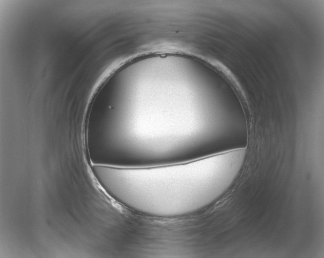 X0000080151191200612081044