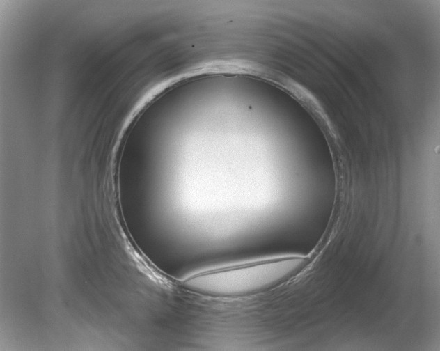 X0000080151192200612081044