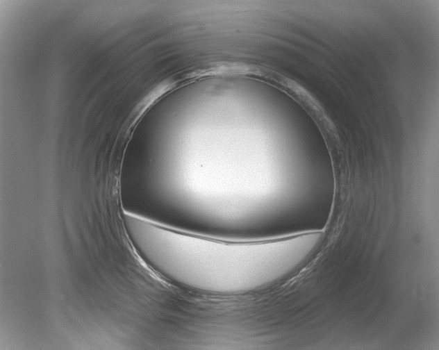 X0000080151193200612081044