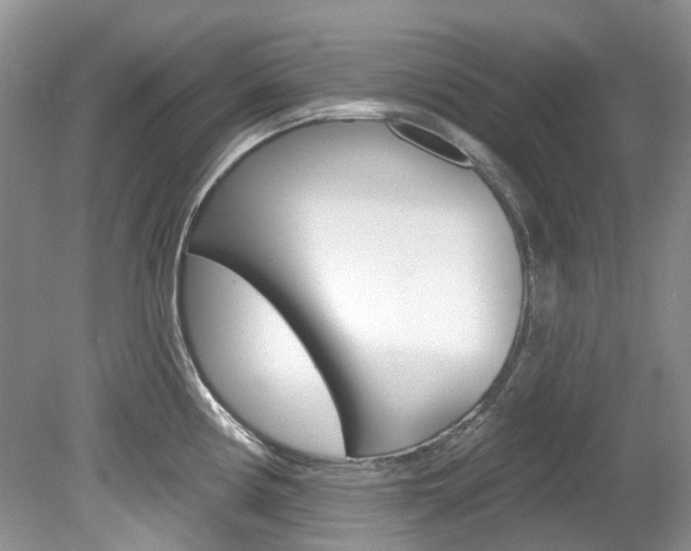 X0000080151194200612081044