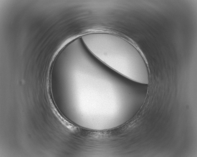 X0000080151195200612081044
