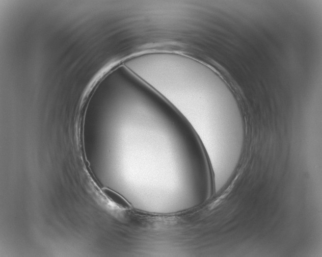 X0000080151196200612081044
