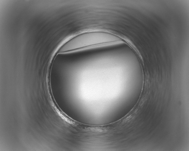 X0000080151197200612081044
