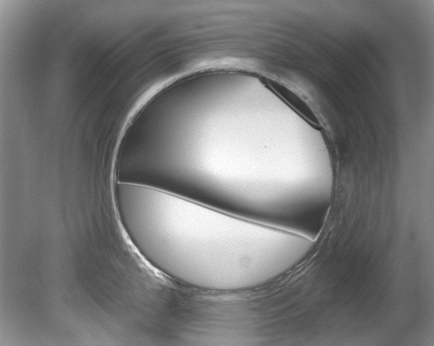 X0000080151199200612081044
