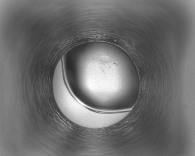X0000080151202200612081043