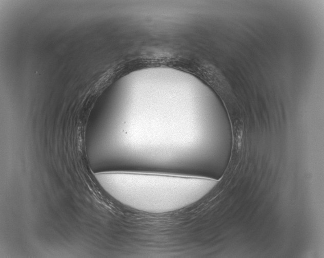 X0000080151204200612081043