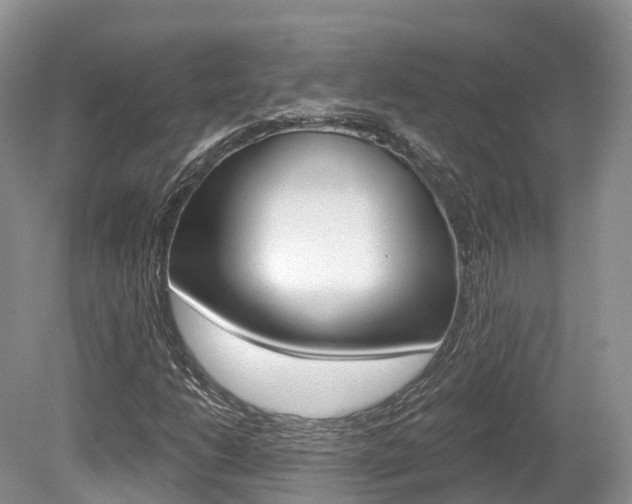 X0000080151206200612081043