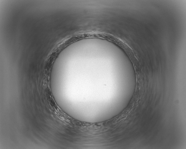 X0000080151207200612081043