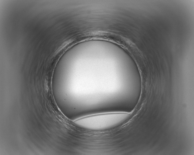 X0000080151209200612081043