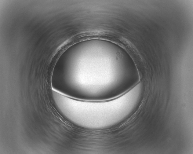 X0000080151210200612081043