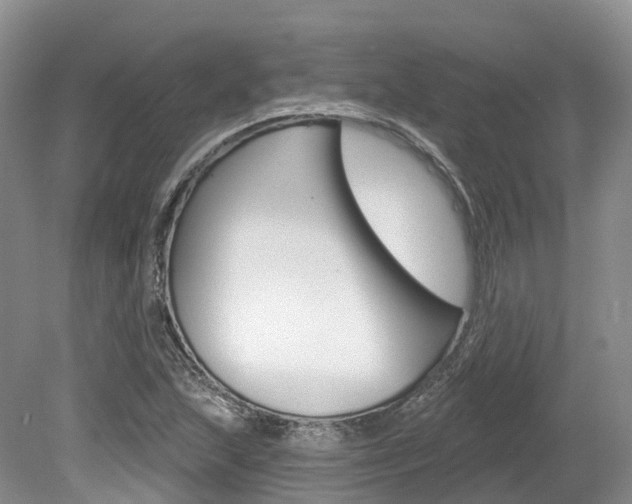 X0000080151215200612081043