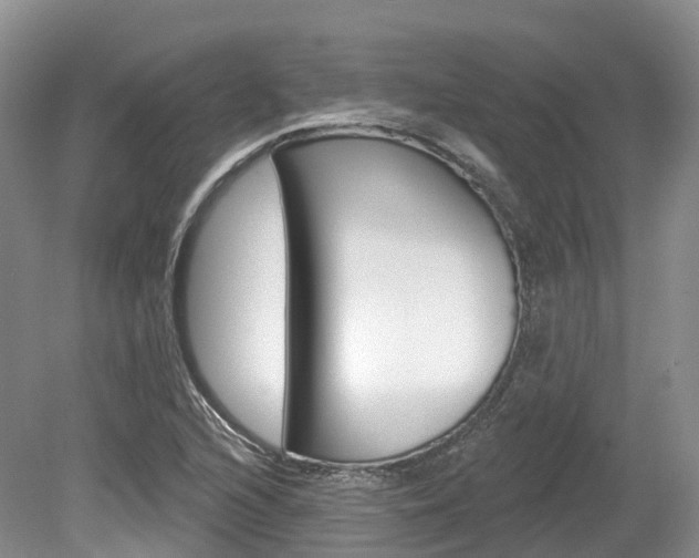 X0000080151216200612081043