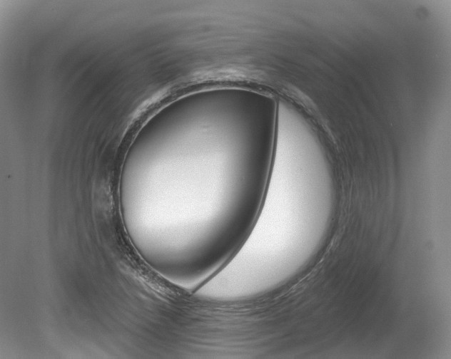 X0000080151218200612081043