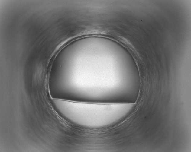 X0000080151220200612081044