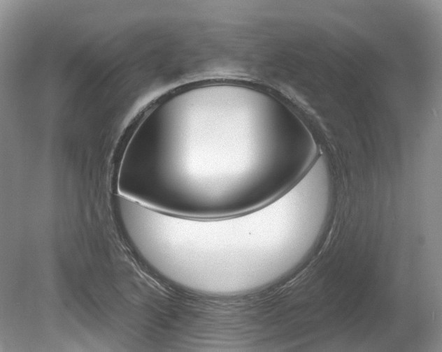 X0000080151222200612081044
