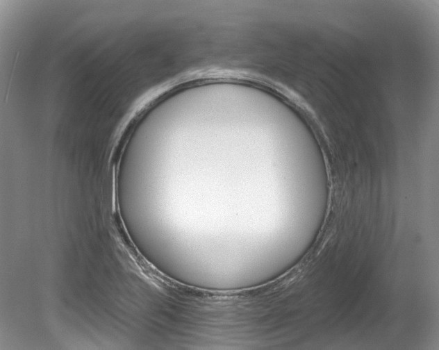 X0000080151223200612081044
