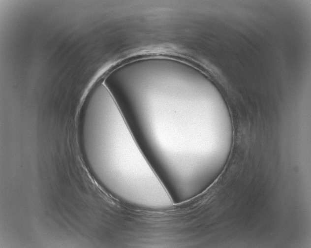 X0000080151224200612081044