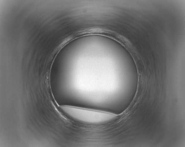 X0000080151225200612081044