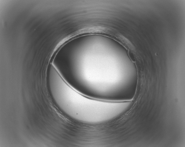 X0000080151226200612081044