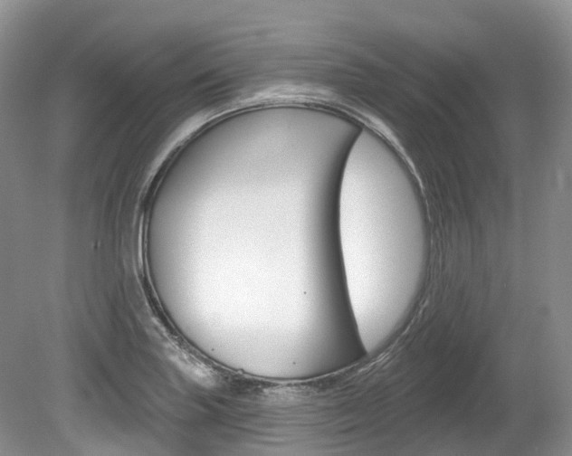X0000080151227200612081044
