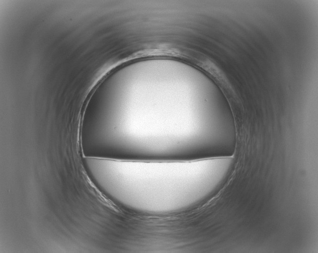 X0000080151228200612081044