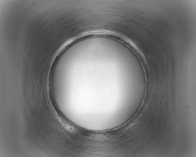 X0000080151229200612081044