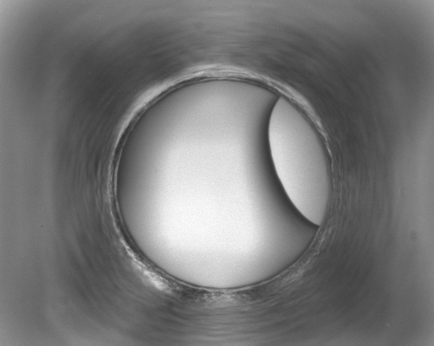 X0000080151231200612081044
