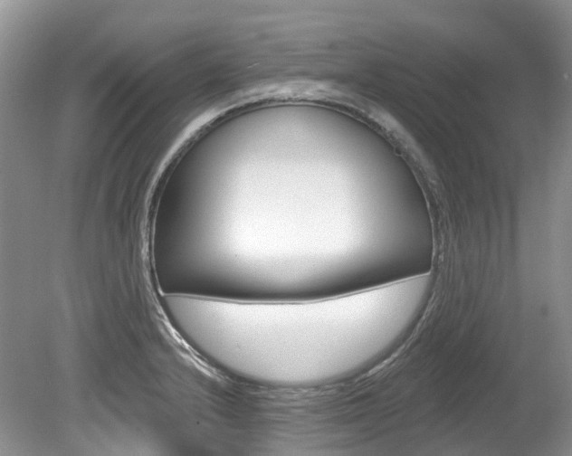 X0000080151232200612081044