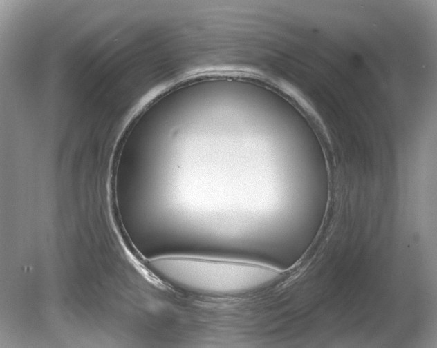 X0000080151237200612081044