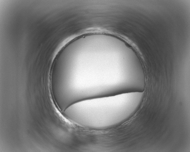 X0000080151239200612081044
