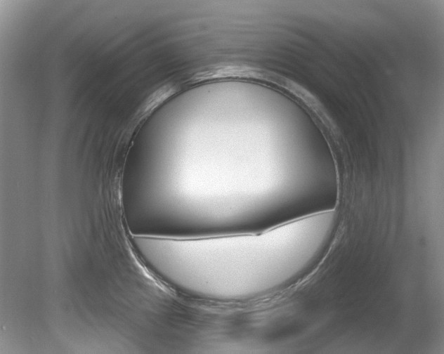 X0000080151241200612081044