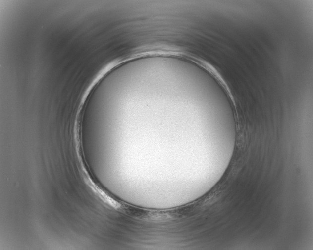 X0000080151243200612081044
