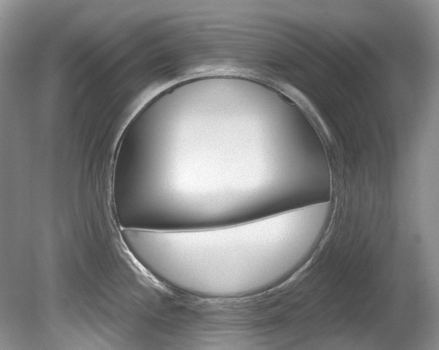 X0000080151244200612081044